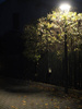 Su-ma latarnia LED Mars 40W 3825lm 3000K popielata IP65 MLS-LB-22A
