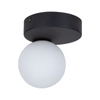 TK Lighting plafon Bianca G9 czarno/biały 5681