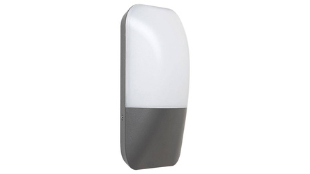 Rabalux kinkiet zewnętrzny LED Ecuador 10W 800lm 4000K antracytowy IP65 7996