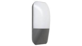 Rabalux kinkiet zewnętrzny LED Ecuador 10W 800lm 4000K antracytowy IP65 7996