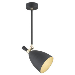 Argon lampa wisząca Charlotte E27 czarno/mosiężna 4686
