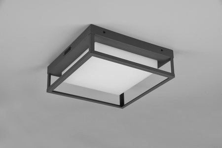 Trio plafon zewnętrzny LED Witham 14W 1550lm 2300/3000/4000K antracytowy IP54 677860142