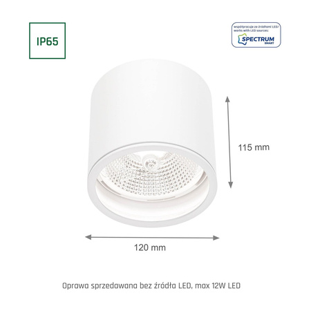 Spectrum plafon zewnętrzny Chloe GU10 biały IP65 SLIP005031