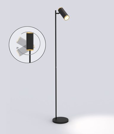 Aviano Lighting lampa podłogowa LED Toulouse ściemnialna 10W 1050lm 3000K wys. 155 cm czarno/złota 3003-104