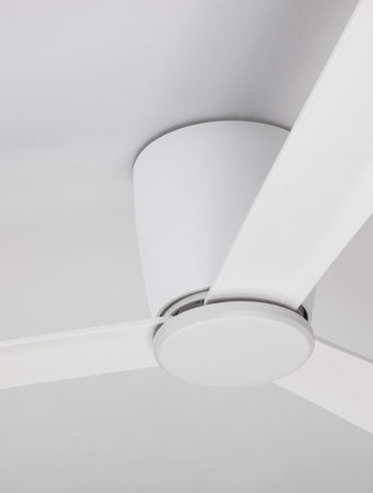 Luces Exclusivas wentylator Tampico Ø 121,9 cm bez źródła światła biały LE42956