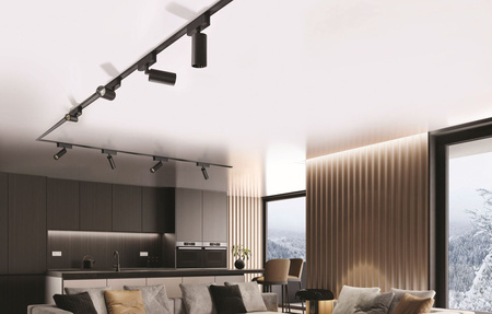 Azzardo SMART lampa szynowa (reflektorek) LED Gamma Niko 12W 825lm 2700/6000K czarna AZ5289