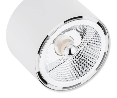 Argon plafon (reflektorki) Clevland 3xGU10 biały 6100 BZ