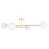 TK Lighting plafon Sarius 4xG9 biało/złoty 4738