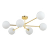 TK Lighting plafon Sarius 6xG9 biało/złoty 4739