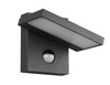 Trio kinkiet zewnętrzny LED z czujnikiem ruchu Horton 8W 1000lm 3000K antracytowy IP54 226369142