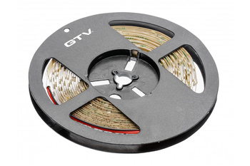 GTV taśma LED Flash 3,7W/m 12V 8mm/5m 6500K IP20 bez żelu LD-2835MW-300-20-ZB