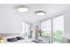 Azzardo plafon LED Collodi 50W 3400lm 2700/6500K (ściemnialny) szary Ø48cm AZ2717