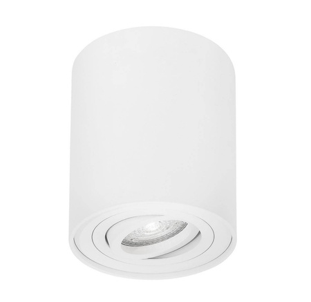 Luces Exclusivas plafon techniczny Carrizal GU10 biały LE61427