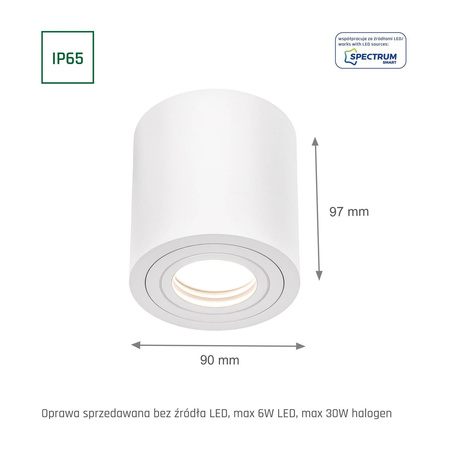 Spectrum plafon zewnętrzny Chloe GU10 biały IP65 SLIP005033