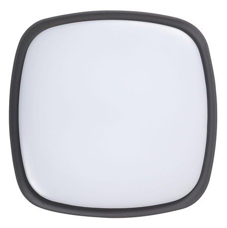 Rabalux plafon zewnętrzny LED Austin 20W 2000lm 4000K antracytowo/biały IP65 8797