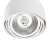 Argon oprawa sufitowa Garland GU10 biała 4710 BZ