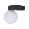 TK Lighting plafon Bianca G9 czarno/biały 5681
