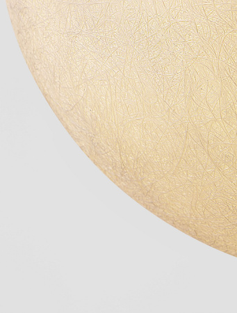 Luces Exclusivas lampa wisząca zewnętrzna LED Celendin Ø 50 cm E27 1x12W IP65 czarna LE73760