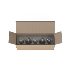 Nowodvorski żarówka E27 2W 160lm 2200K 5 szt. 7487