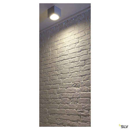 SLV plafon łazienkowy Big Theo Ceiling Out GU10/ES111 szary IP44 229554