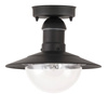 Rabalux plafon zewnętrzny Oslo E27 czarny IP44 8716