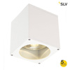 SLV plafon łazienkowy Big Theo Ceiling Out GU10/ES111 biały IP44 229551