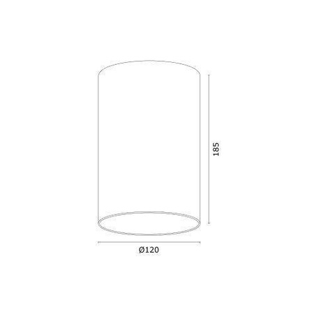 Argon plafon techniczny Tubo GU10/AR111 biały 4910 BZ