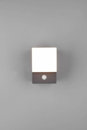 Trio kinkiet zewnętrzny LED z czujnikiem ruchu Avon 7W 800lm 3000K antracytowy IP54 270669142