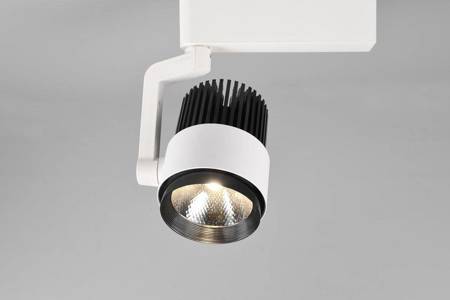 Trio lampa szynowa LED (reflektorek) Duoline 15W 1270lm 2300/3000/4000K biała 78030131
